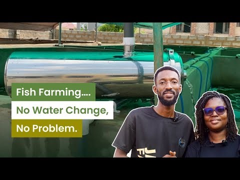 This System Will Save You Water in Fish Farming