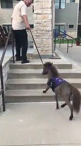 4.2K views · 605 reactions | THINGS THAT MAKE ME SMILE CUSTOMER...