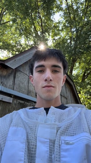 19 reactions · 5 comments | Removing a paper wasp hive from a lady’s shed! If you have any questions please comment them or DM me! If you learned something like the video and give me a follow! #instagood #honeybee #beekeeping #foryou #homestead #fyp #me # | Maddox Fourman | Facebook