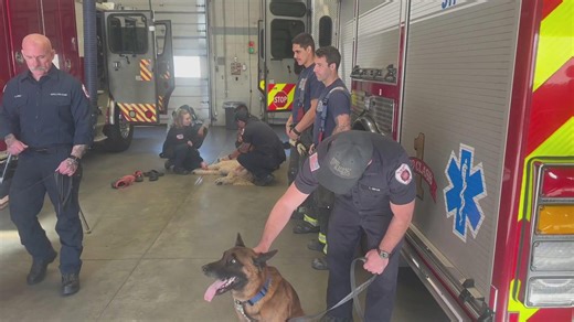 Aurora Fire Department gets new K9 therapy dogs for coping with stress
