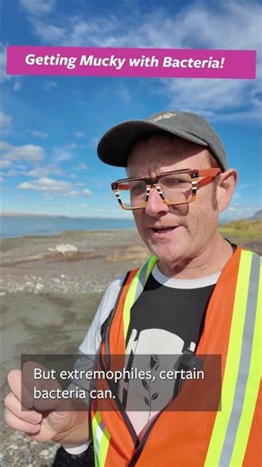 Getting Mucky with Bacteria