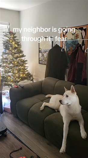 he started singing along after this and was actually really good tbh