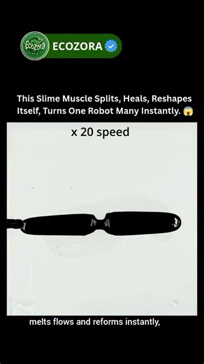 Slime Artificial Muscle Splits One Robot Into Many 🧬 #robotics #innovation #shorts science