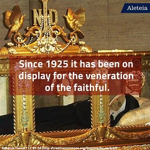 19K views · 891 reactions | 5 Things You Didn't Know About St....