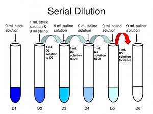 Serial Dilution - SlideServe