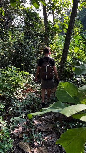 16K views · 118 reactions | Opened our home to 32 kids from a local orphanage here in Bali and we threw a pool and pizza party. The dream these kids dream of is to work in tourism yet they don’t often get to meet tourists so we invited our expat friends over to spend the day and raise a bit of money. Across our friends we raised like 700 USD, had a ton of fun, and the best part was seeing these two communities becoming one. | Lost LeBlanc | Facebook