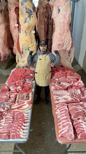 Jersey × Limousin vs Red Angus | Which Beef Is Better?
