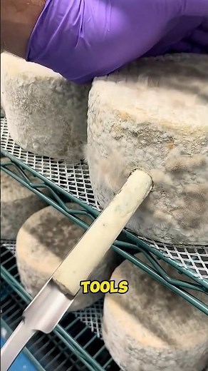 Why some cheeses are washed?