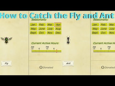 ACNH: How to Catch the Fly and Ant