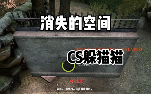 CSGO躲猫猫：我俩配合真的绝了