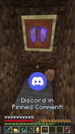 Coordinates at the end - Hiding an Elytra on Donut SMP