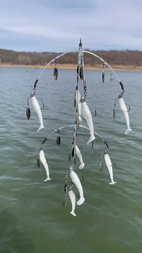 Mastering Bass Fishing Techniques: From Swimbait Universe to Umbrella Rigs