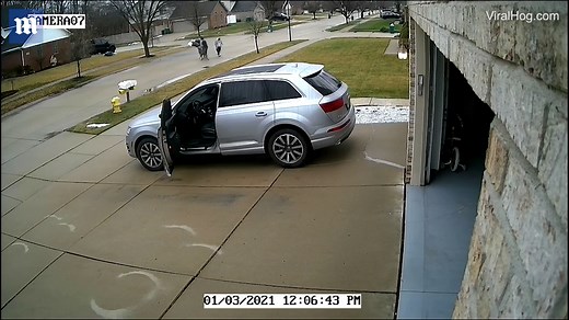 Massive dog surprises unsuspecting man taking out his trash