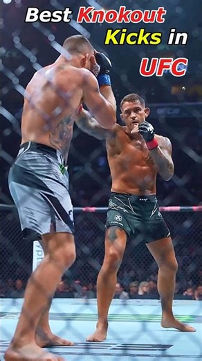 UFC Best Knockout Kicks Ever 😎 #shorts #ufc #viral