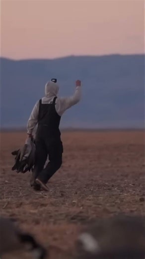 Watch This Dog's AMAZING Bird Retrieval Skills! #shorts