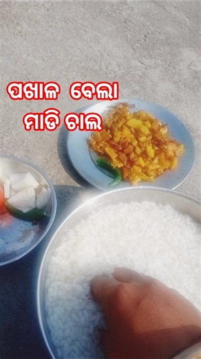 ପଖାଳ 😋😋😋 #sortvideo #food #mycooking #foodchannel #cokingvlog #recipe #pakhal