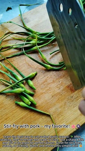 Cutting Soaked Garlic Scapes – Quick & Easy! ✂️