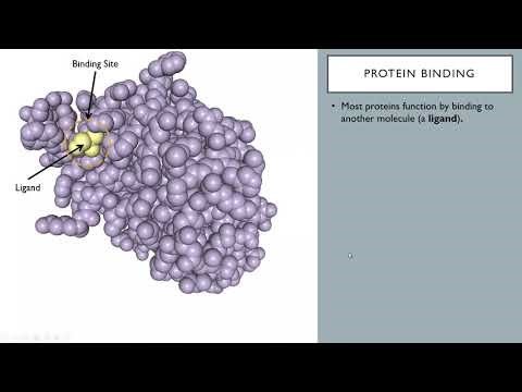 OSSM Biochem Chapter 5 - Protein-ligand Interactions
