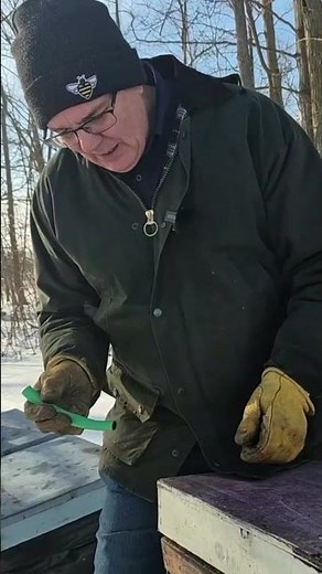 Hive Checks: The Sniff Test