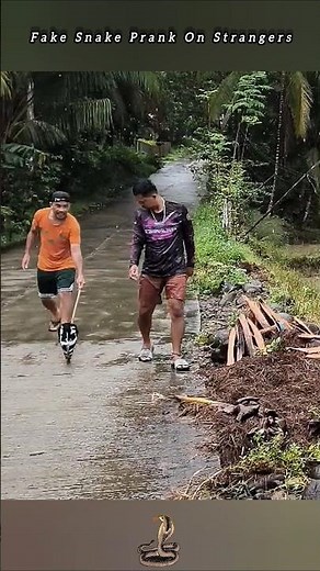 When black Mamba appears near you 😂 #shortvideo