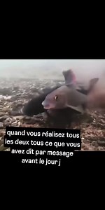 1.7M views · 7.2K reactions | Bob-son Ndong Mbeng on Reels | Facebook