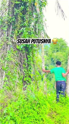 #pyp #pypy -#pypシ #petanimuda #petanimilenial #pejuangrupiah #pejuangkeluarga