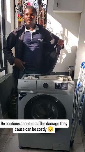 1.2K views · 36 reactions | Rats (panya) can make you cry because your machine is not working . Be cautious where you put your machine, it should be hardly accessible to rats or anything that could cause internal damage! Incase makosa ishafanyika, Whatsapp 0741174277... Better safe than sorry ‍ #service #washingmachine #laundry | naibestexpatsfacility | Facebook