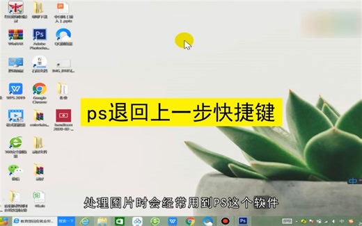 ps退回上一步快捷键是什么？ps退回上一步的快捷键