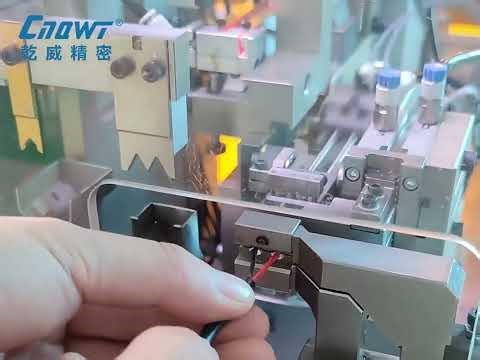 QW-C2000-FS Peel and Punch Sealing Plug Machine
