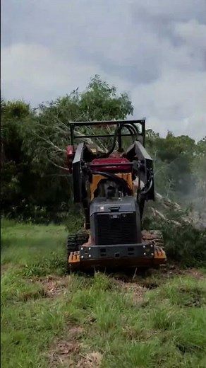 Gas Mower Cold Start Challenge in Winter ❄️ #MowerTest #ColdStart