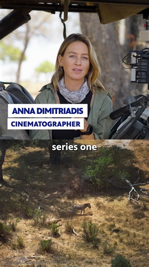 Ready to pounce into Season 2 of Big Cats 24/7? 🐆 Our favorite feline experts tell us what to expect for the new season, premiering Wed, Sept 10! | PBS