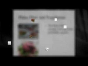 A Caveman Diet For Today!