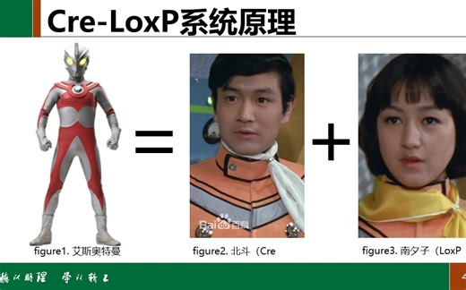 【基因编辑/无痛学习】用艾斯奥特曼带你聊透Cre-LoxP基因编辑技术
