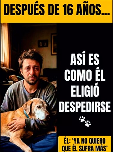3 días sin comer. Toby no pudo levantarse. Eutanasia domicilio. 16 años juntos. Sedante. Susurró todo. Inyección. Último suspiro. Sostuvo minutos. 4 meses: mira esquina. No reemplazo. Cicatriz. #16AñosJuntos #TobyEnSusBrazos #HistoriaReal #FYPEmocional #patitasconvoz