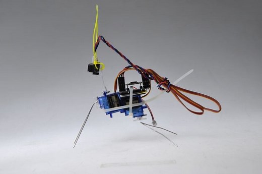 Insect Bot Mini