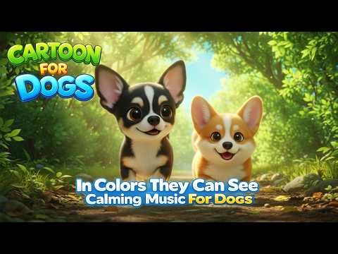 24 Hours Dog Cartoon 🐾🌏 Blue & Yellow in Colors Dogs Can See | Healing Cartoon for Dogs Earth Day