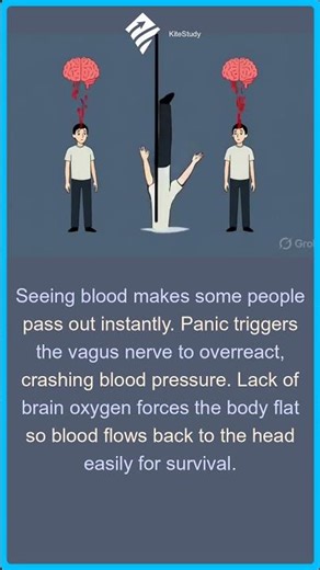Why Some Faint at Blood | Why Do We Pass Out