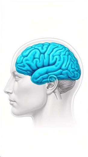 Adult ADHD Is an Executive Function Disorder — Here’s What That Means