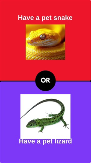 Red 🔴 or Blue 🔵? You Decide! #game