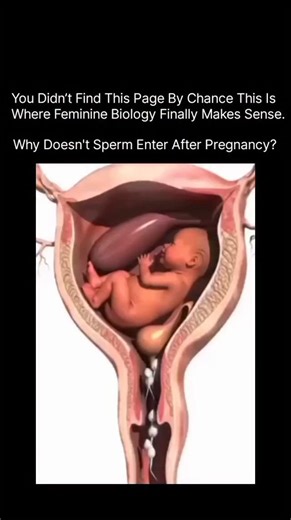 Periods | Hormones | Fertility on Instagram: "Once pregnancy begins, the female body activates a powerful biological “security system” to protect the growing baby. The very first change happens in the cervix — the gateway between the vagina and uterus. After fertilization, rising progesterone hormone thickens the cervical mucus into a solid, jelly-like mucus plug. This plug completely seals the cervix, acting as a biological lock that blocks sperm, bacteria, and external particles from entering