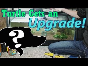 Setting up New and Improved Turtle Tanks!