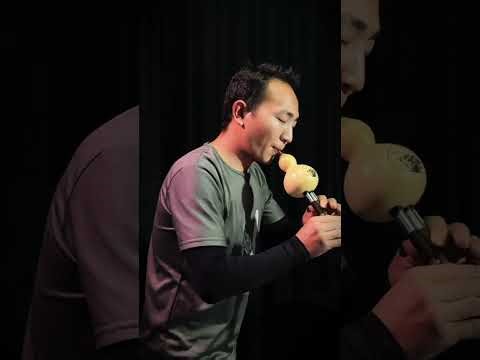 Chinese traditional musical instruments—Hulusi