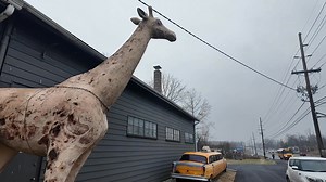 25K views · 261 reactions | OBNOXIOUS ANTIQUES IN NEW JERSEY | The Philly Captain | Facebook