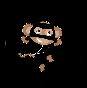 Secret Ninja School - Member Home