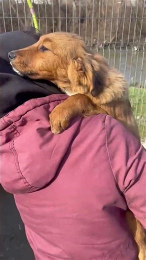 ISMENE - Februar 2026