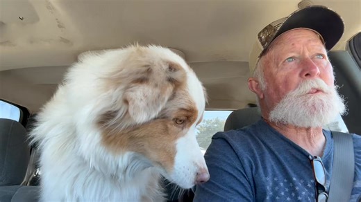 26K views · 1.2K reactions | Emma and I ran to town for some truck parts and heard they had PupCups at Sonic Burger! You’ll have to check in tomorrow for Emma’s PupCup review. I’ll give them a 6.5 on the Corn Dogs. Not to bad, I like a good Corn Dog from time to time. Can’t believe they don’t have a corn dog emoji 路‍♂️ #sonic #burger #corndog #emma #pupcup #fastfood #drivethru #aussie #goodgirl #copilot | Couple Berry Farms | Facebook