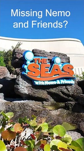Missing Nemo and Friends? #ridethrough #disneyattraction #nemo #findingnemo #disneyrides