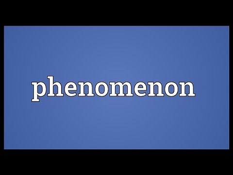 Phenomenon Meaning