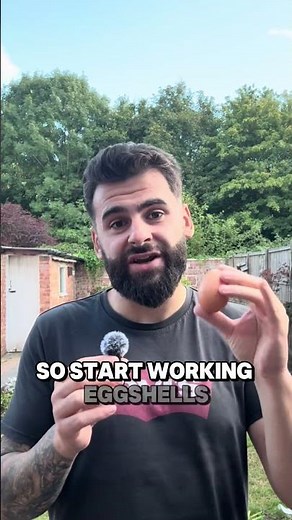 Egg Shells Are A Dogs Best Friend