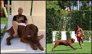 Lionel Messi Plays Football With Gigantic Pet Dog, Leaves Him Baffled Like Defenders